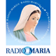 Radio Maria Boston - WWBX-SCA1 logo