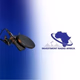 Logo de Investment Radio Africa