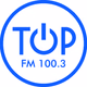 Logo de FM Top 100.3