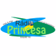 Logo de Rádio Princesa 104.9 FM
