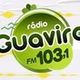 Radio Guavira FM logo