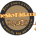 Logo de TheSkyKidcom Radio