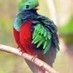 Logo de lindoquetzal