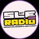 SLE RADIO logo