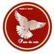 Logo de Radio Pain du soir - Musique1
