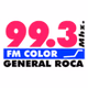 FM Color logo