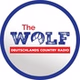 The WOLF - Osnabrück logo