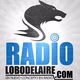 Logo de LOBO DEL AIRE RADIO