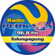 Logo de Radio Perkasa FM