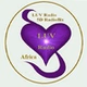 5D Radioflix - LUV Radio Africa logo