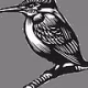 Logo de kingfisher-radio - Homelands