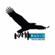 Logo de Namib Radio