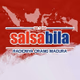 Logo de 94.1 Salsabila FM