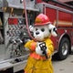 Newport News Fire logo