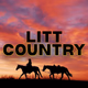 Logo de Litt Live - Country