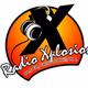 Logo de Radio Xplosion 96.5