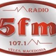 Logo de 5FM Radio