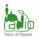 The Voice of Ummah logo
