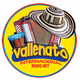 Logo de Vallenato Internacional Radio