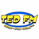 Logo de Ted FM - KRVX-HD2