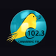 Logo de Rádio Canarinho