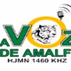 Logo de La Voz de Amalfi