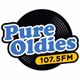 Logo de Pure Oldies 107.5 - WDBR-HD3