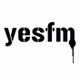 YES FM - WYSA logo