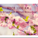Logo de WBCE - WBCE