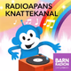 Logo de SR Knattekanal