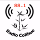 Logo de Radio Colihue 88.1