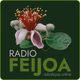 Radio Feijoa Logo