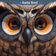 Logo de Radio Boof - Persian Classic