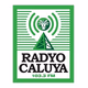 Logo de 103.3 Radyo Caluya