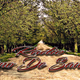 Logo de IVM Camino de Santidad