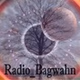 radio_bagwahn logo