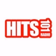 Hits101 Radio logo