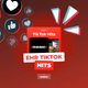 Logo de EHR TikTok Hits