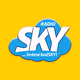 Logo de SKY Rádio