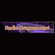 Logo de Radio-Dragonsound