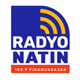 Logo de Radyo Natin Pinamungajan - DYRR